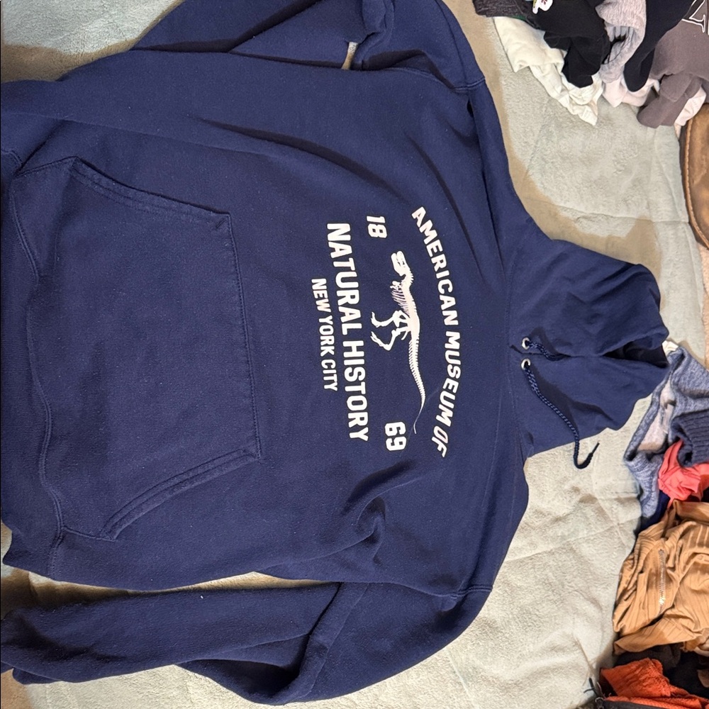 Blue Graphic Hoodie